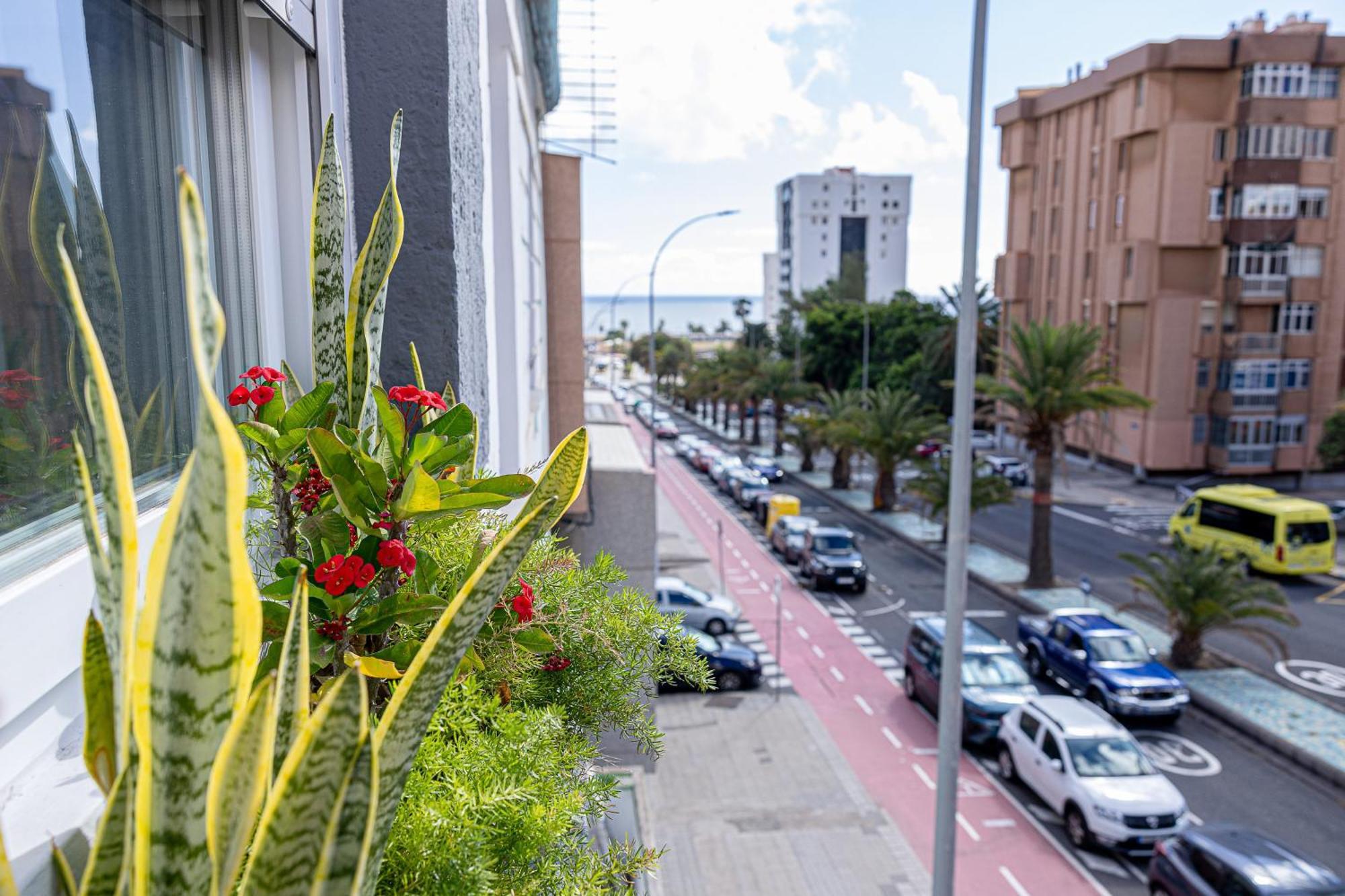 Bambu Suites Vegueta Alquiler Por Habitacion لاس بالماس دي غران كاناريا المظهر الخارجي الصورة